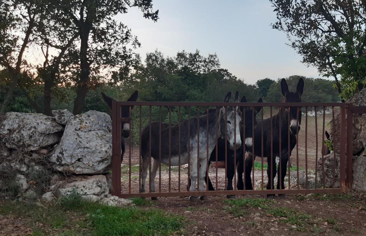 Apartament Pietra D'Angolo Locorotondo Zewnętrze zdjęcie